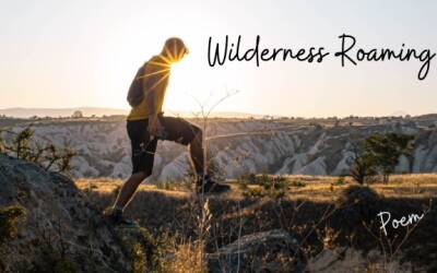 Poetry In The Wilderness